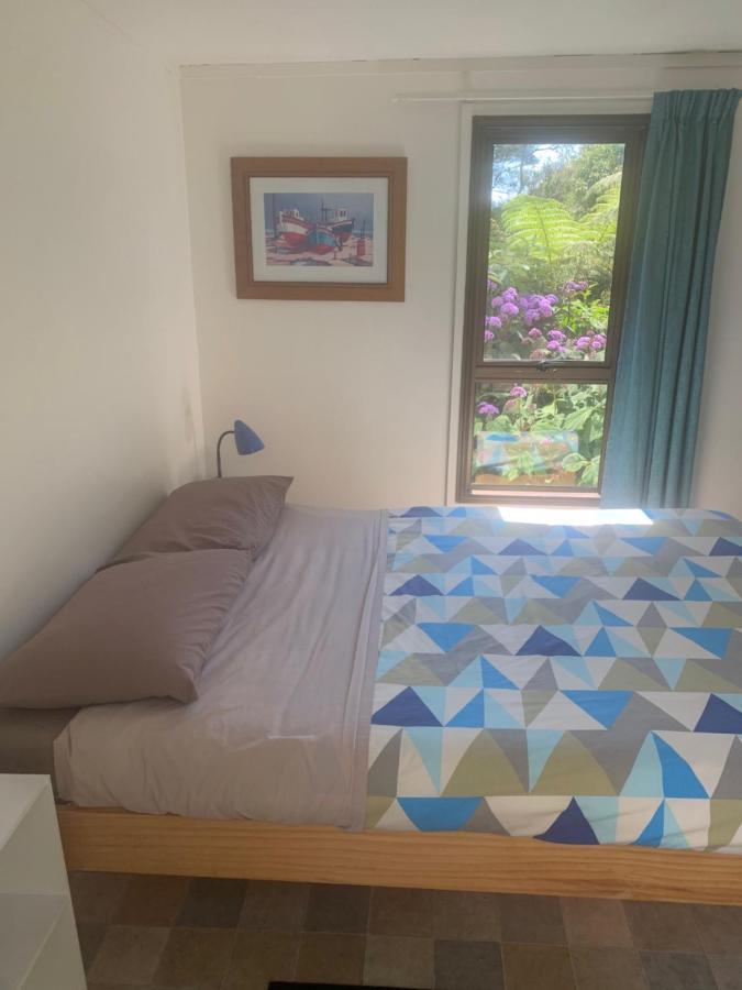 Pickled Parrot - Boutique Hostel Paihia Extérieur photo